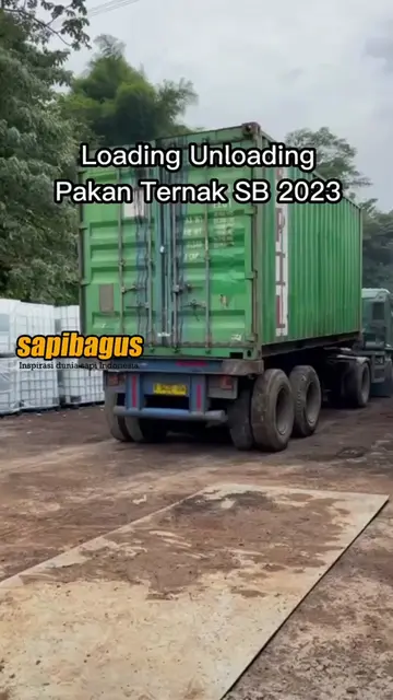 Loading-Unloading-Pakan-Ternak-SB-2023-Tiktok.jpg.webp